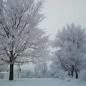 Meet your Posher, Dee